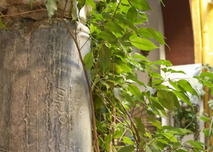 ホテル Casa Museo De La Mezquita コルドバ