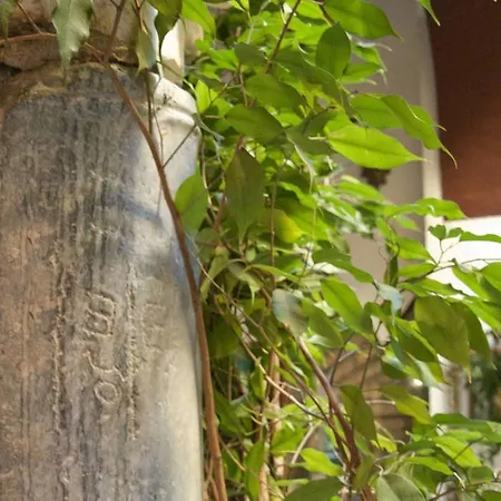 Hotel Casa Museo De La Mezquita Cordoba